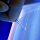 A DNA fragment is cut under UV light for DNA sequencing.